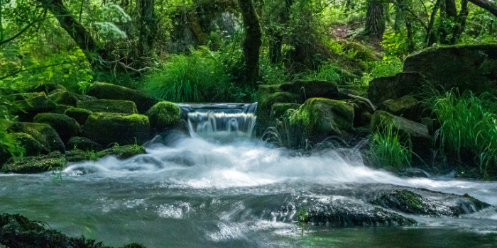 Ruta en bicicleta al lado del río. Foto de Juan Gomez en Unsplash